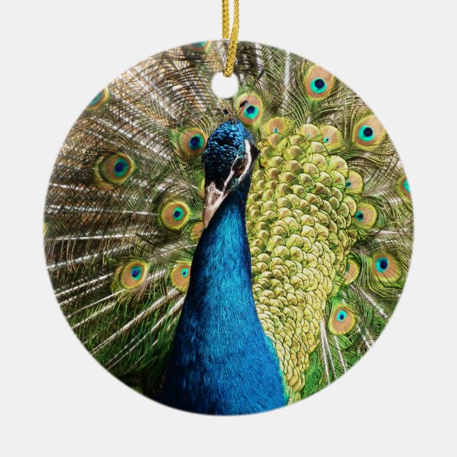 Brilliant Blue Peacock Ceramic Tree Decoration (Front)