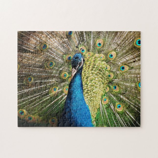 Brilliant Blue Peacock Jigsaw Puzzle (Horizontal)