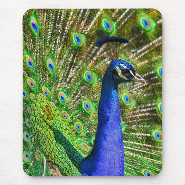 Brilliant Blue Peacock Mouse Mat (Front)