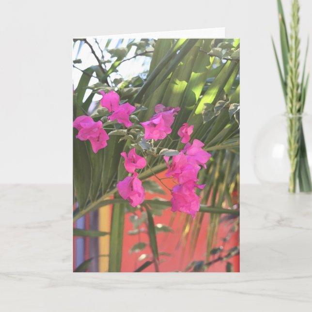 Brilliant Bougainvillea Card (Front)