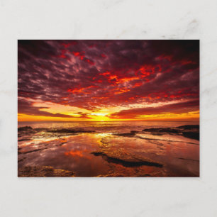 Brilliant Bright Tropical Sunlight Rocky Shore Sea Postcard