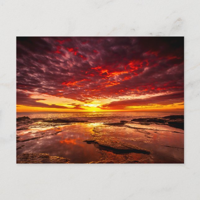 Brilliant Bright Tropical Sunlight Rocky Shore Sea Postcard (Front)