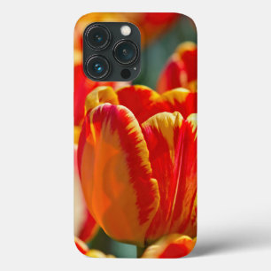 Brilliant Colour Tulips iPhone 13 Pro Case