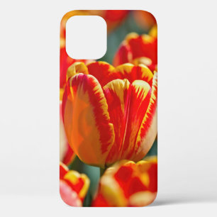Brilliant Colour Tulips iPhone 12 Pro Case