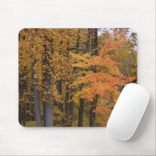 Brilliant Coloured Fall Trees and Leaves Mousepad