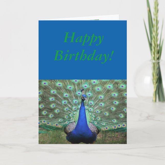 Brilliant coloured Peacock, Birthday Card (Front)