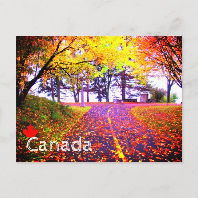 Brilliant Colours Autumn Bike Path Canada Souvenir Postcard (Front)