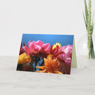 Brilliant Dahlias Mother's Day Card