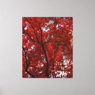 Brilliant Fall Foliage Shining Gloriously on a Canvas Print