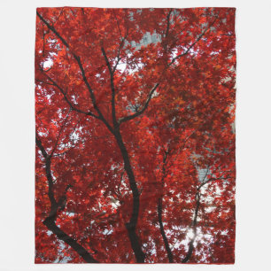 Brilliant Fall Leaves Shining Gloriously on a Fleece Blanket