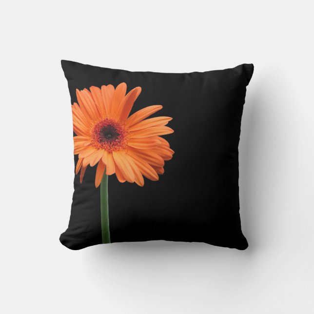 Brilliant Orange on Black Cushion (Front)