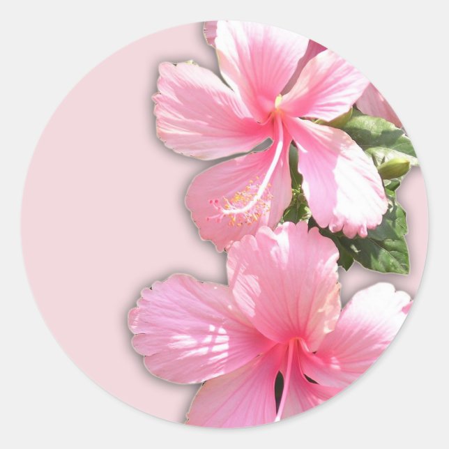 Brilliant Pink Hawaiian Hibiscus Flowers Classic Round Sticker (Front)