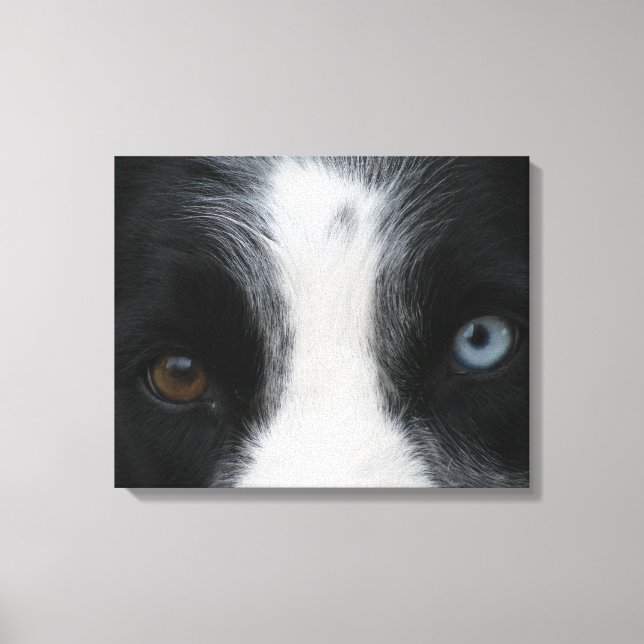 Brilliant Puppy Eyes Canvas Print (Front)