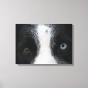 Brilliant Puppy Eyes Canvas Print