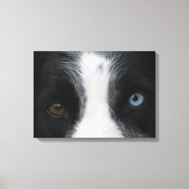 Brilliant Puppy Eyes Canvas Print (Front)