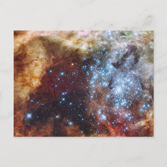 Brilliant Rainbow Nebula 30 Doradus Postcard (Front)