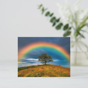 Brilliant Rainbow Over Wildflower Meadow Nature Postcard