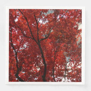 Brilliant Red Fall Leaves with Black Limbs on a Napkin