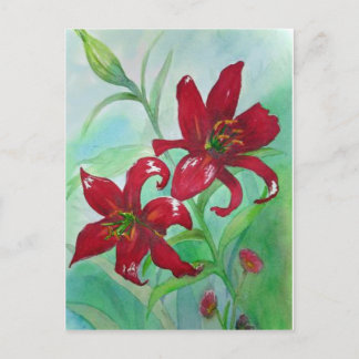 Brilliant Red Fine Art Watercolor Flowers Lindsey Postcard