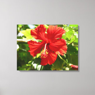 Brilliant Red Hibiscus Flower Canvas Print