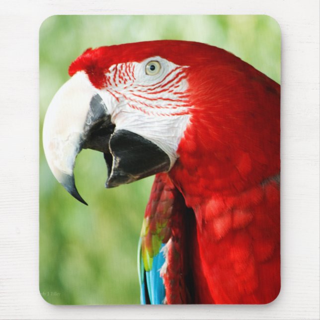 Brilliant Red Mouse Mat (Front)