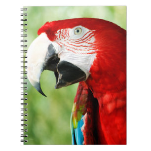 Brilliant Red Notebook