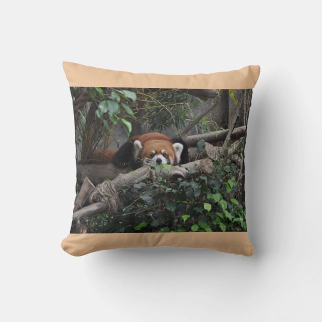 Brilliant Red Panda in a zoo Cushion (Front)