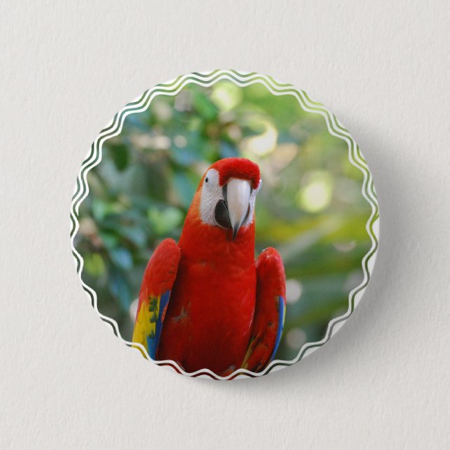 Brilliant Red Parrot Button (Front)