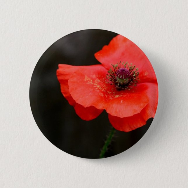 Brilliant Red Poppy 6 Cm Round Badge (Front)