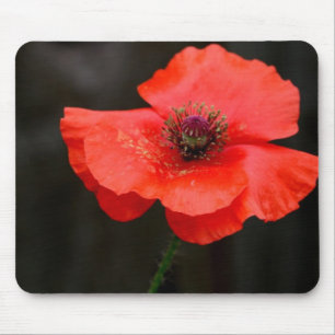 Brilliant Red Poppy Mouse Mat