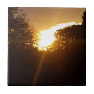Brilliant sunrise over the trees tile