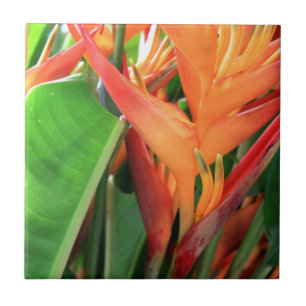 Brilliant Tropical Heliconia Florals Tile