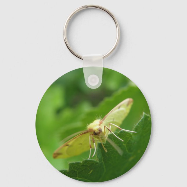 Brimstone Moth Keychain (Front)