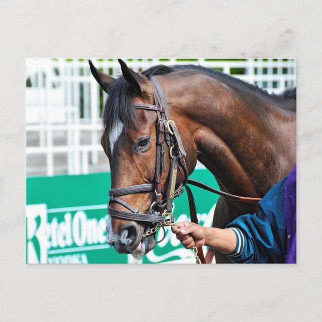 Brimstone Postcard (Front)