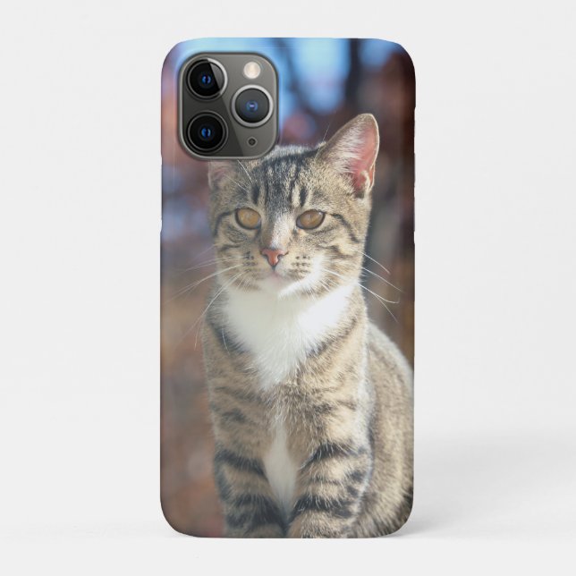 Brin Case-Mate iPhone Case (Back)