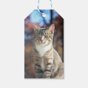 Brin Gift Tags
