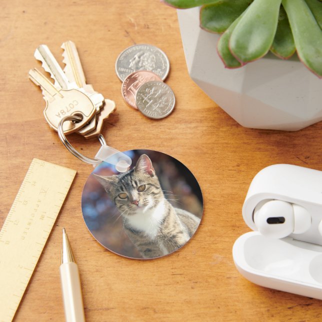 Brin Key Ring (Desk)