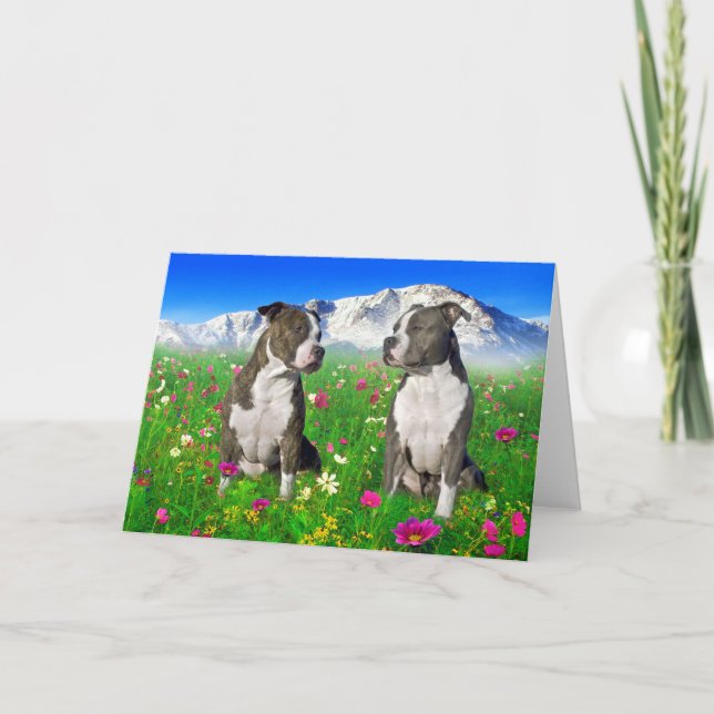 Brindle & Blue Staffordshire & Pit Bull Dogs Card (Front)