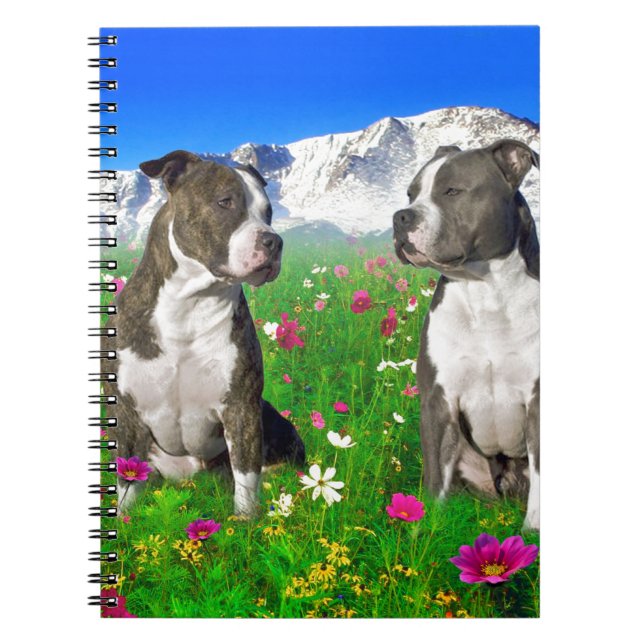 Brindle & Blue Staffordshire & Pit Bull Dogs Notebook (Front)