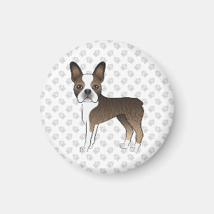 Brindle Boston Terrier Cute Cartoon Dog & Paws Magnet