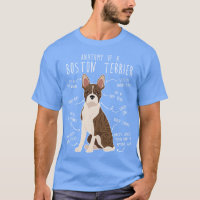 Brindle Boston Terrier Dog Anatomy