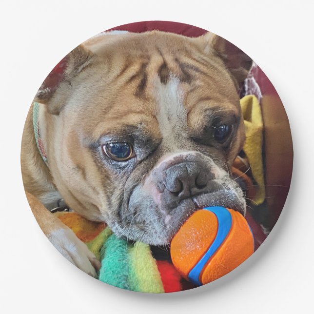 Brindle Boston Terrier Paper Plate (Front)