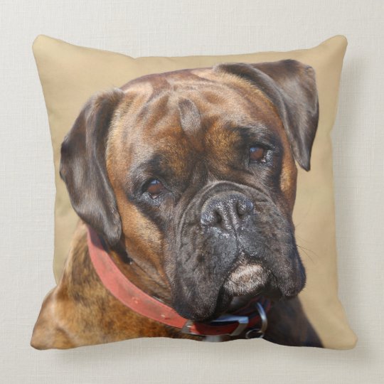 boxer dog cushion