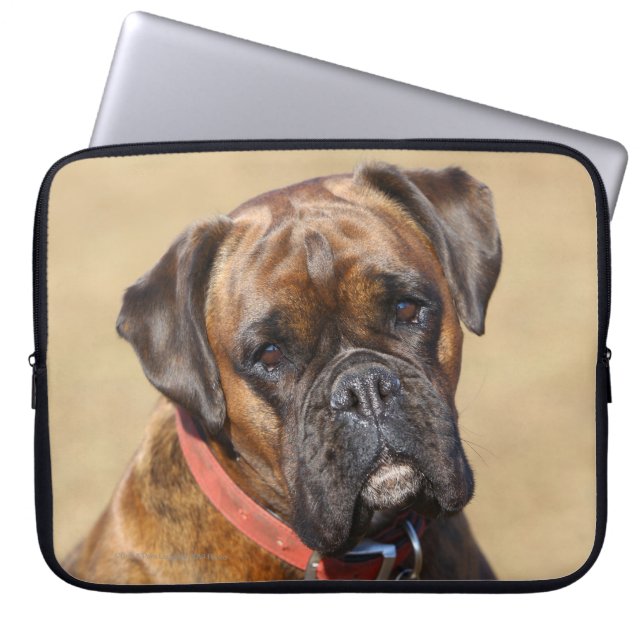 Brindle Boxer Dog Laptop Sleeve (Front)