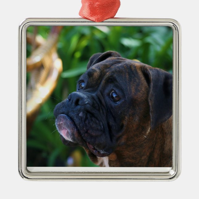Brindle boxer dog ornament (Front)