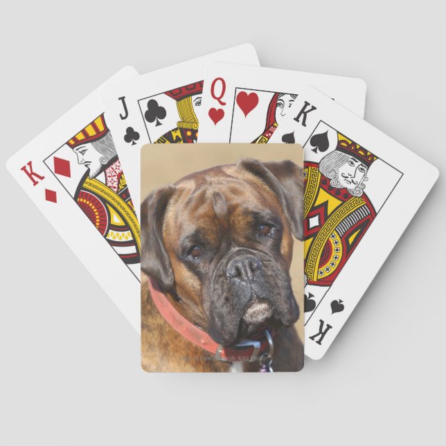 Brindle Boxer Dog Playing Cards (Back)