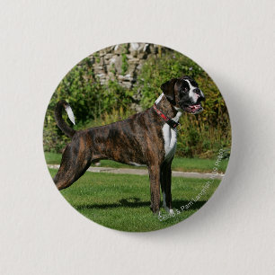 Brindle Boxer Dog Show Stance 6 Cm Round Badge