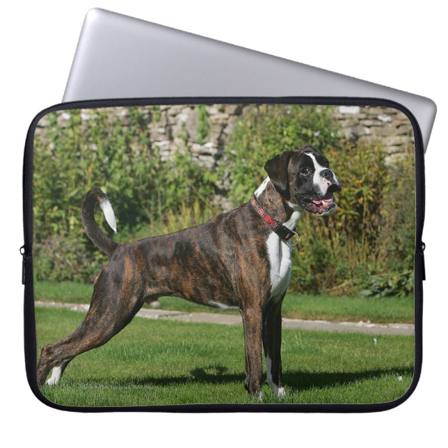 Brindle Boxer Dog Show Stance Laptop Sleeve (Front)