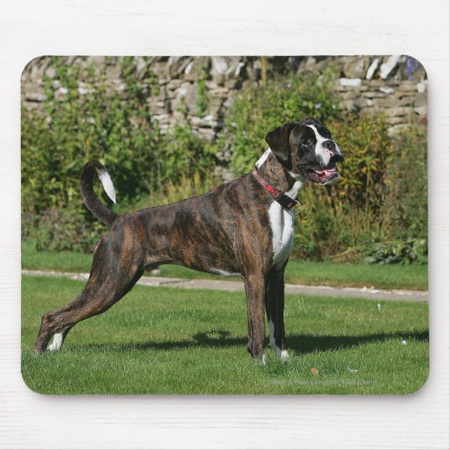 Brindle Boxer Dog Show Stance Mouse Mat (Front)