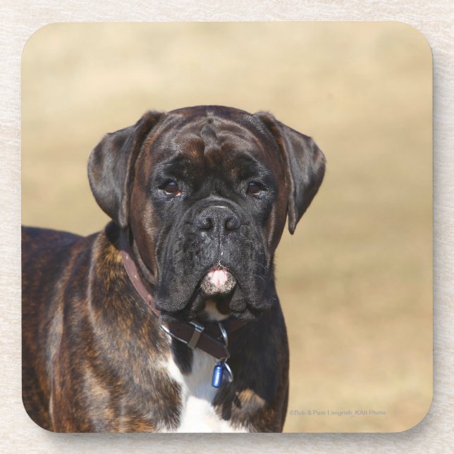 Brindle Boxer Dog Standing Coaster (Front)